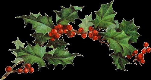 Bough of Holly
