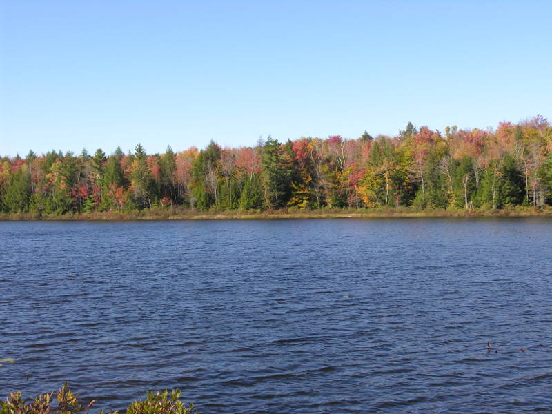 Better Homes and Gardens Real Estate The Milestone Team Lakes & Ponds